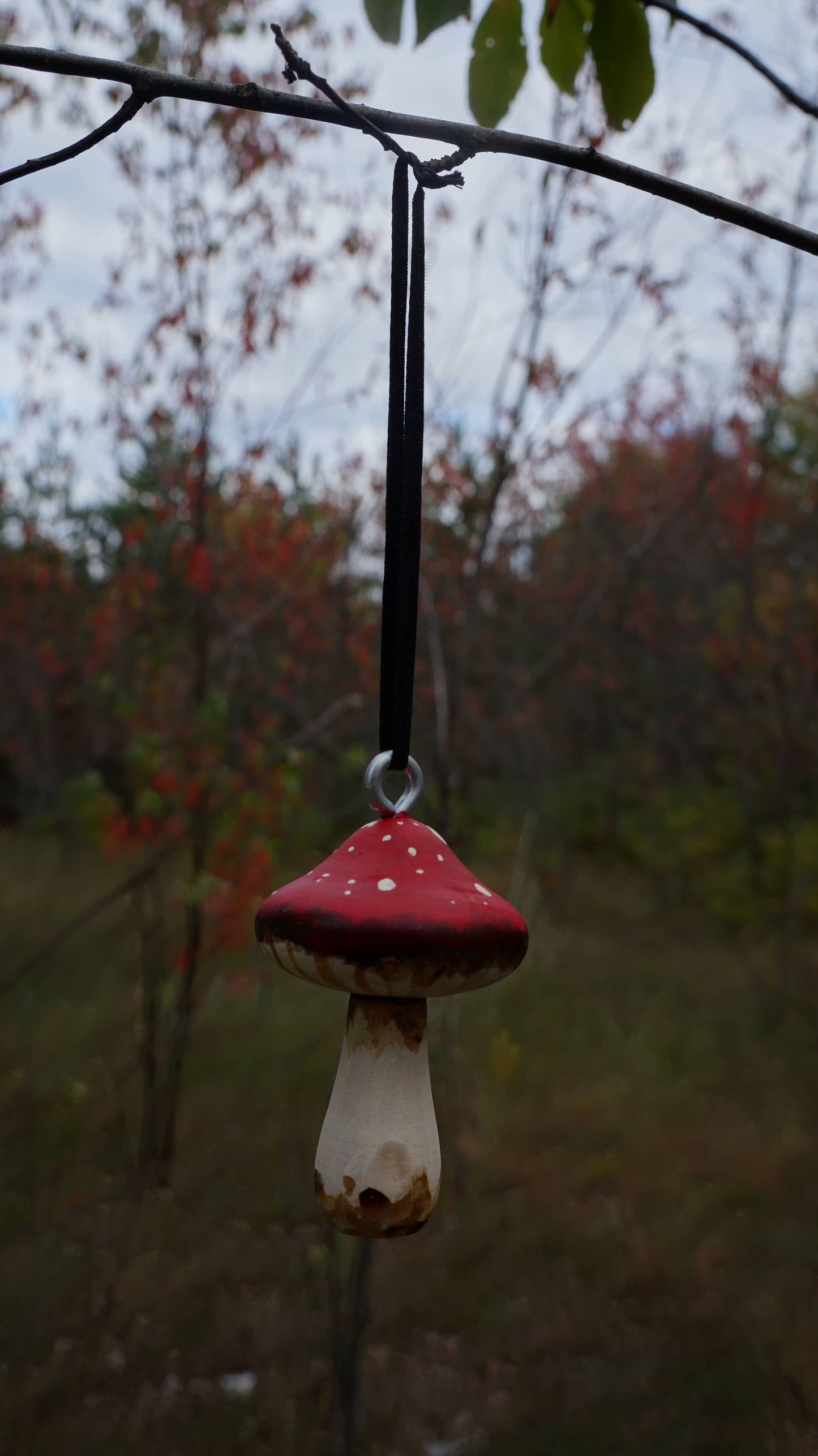 Hand Painted Wooden Mushroom Hanging Ornaments